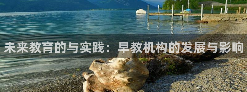 威九国际的金融服务：未来教育的与实践：早教机构的发展与影响