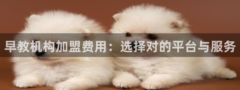 威九国际犯法吗：早教机构加盟费用：选择对的平台与服务