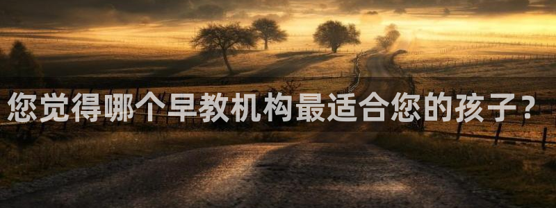 威九国际的女主：您觉得哪个早教机构最适合您的孩子？