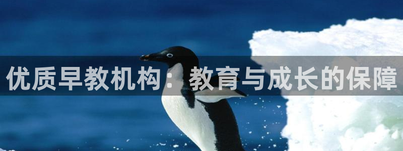 威九国际最近的视频：优质早教机构：教育与成长的保障