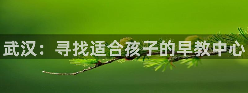 威九国际能提现吗现在:武汉:寻找适合孩子的早教中心