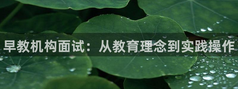 威九国际网站入口&rdpuo:早教机构面试:从教育理念到实践操作