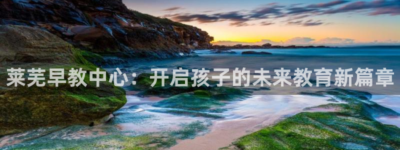 威九国际网站更新了吗:莱芜早教中心:开启孩子的未来教育新篇章