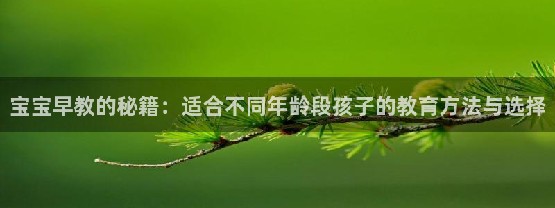 威九国际合作伙伴有哪些:宝宝早教的秘籍:适合不同年龄段孩子的教育方法与选择