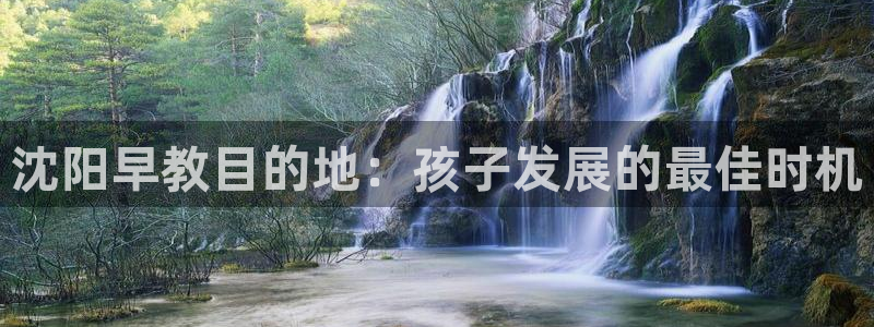 威九国际v18:沈阳早教目的地:孩子发展的最佳时机