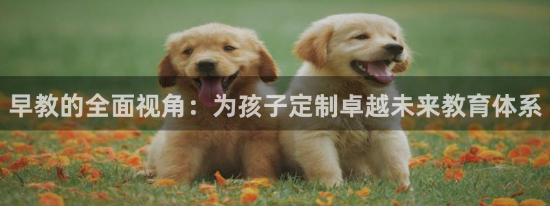 威九国际官方入口：早教的全面视角：为孩子定制卓越未来教育体系