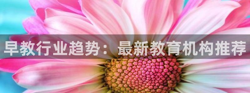威九国际电子有限公司：早教行业趋势：最新教育机构推荐