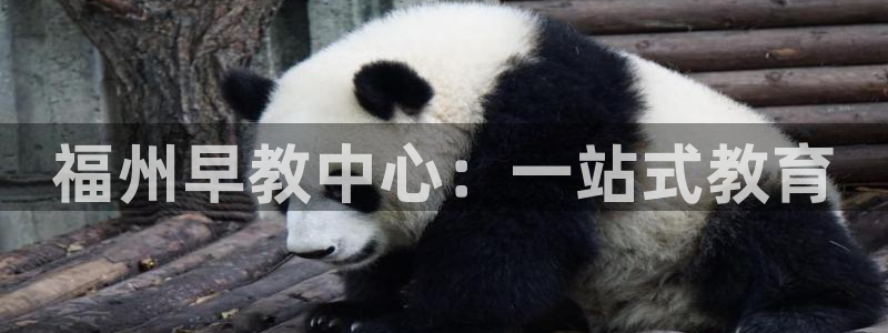 威九国际能提现吗：福州早教中心：一站式教育