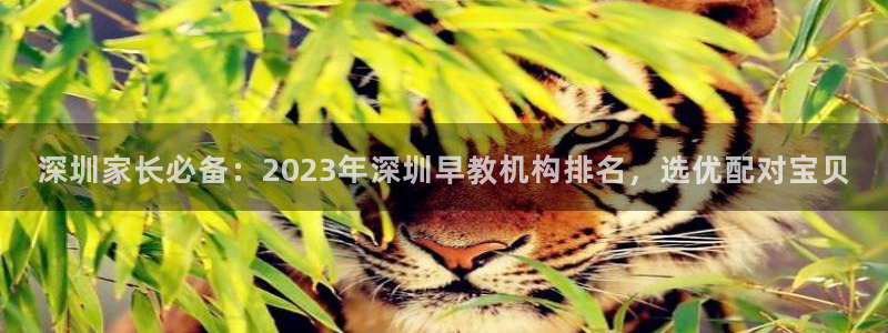 威九国际成长模式：深圳家长必备：2023年深圳早教机构排名，选优配对宝贝