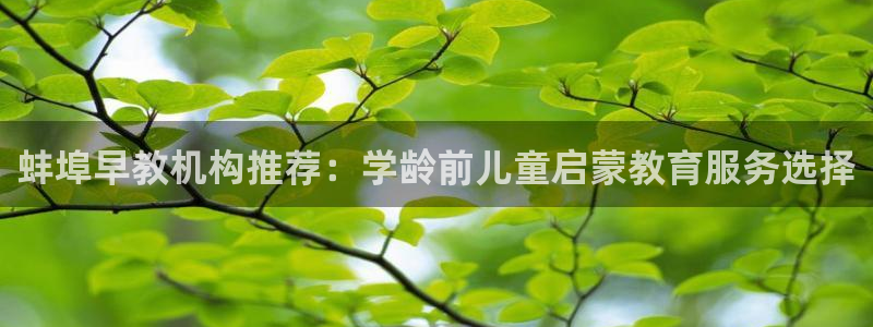 威九国际网站登录：蚌埠早教机构推荐：学龄前儿童启蒙教育服务选择