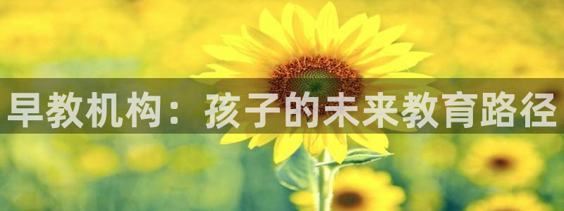 威九国际app入口官网：早教机构：孩子的未来教育路径