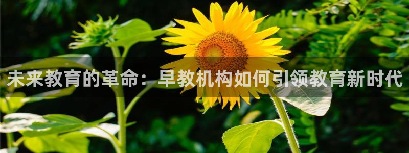 威九国际v96242cc官网版：未来教育的革命：早教机构如何引领教育新时代