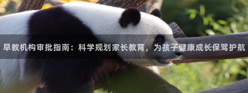 威九国际父亲的友人：早教机构审批指南：科学规划家长教育，为孩子健康成长保驾护航