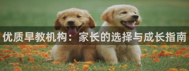 威九国际软件公司简介：优质早教机构：家长的选择与成长指南