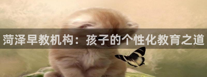 威九国际78mob游戏特色：菏泽早教机构：孩子的个性化教育之道