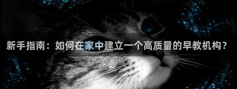 威九国际可以提现吗安全吗：新手指南：如何在家中建立一个高质量的早教机构？