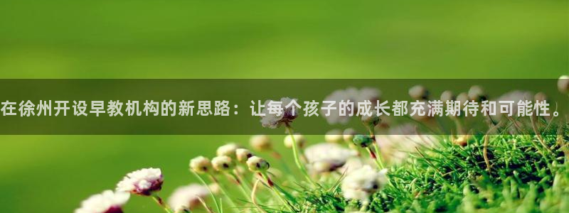 78m.ppt威九国际官网版：在徐州开设早教机构的新思路：让每个孩子的成长都充满