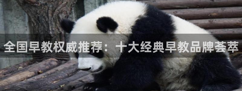 威九国际78mb下：全国早教权威推荐：十大经典早教品牌荟萃