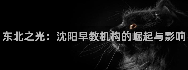 威九国际网站安全吗可靠吗：东北之光：沈阳早教机构的崛起与影响