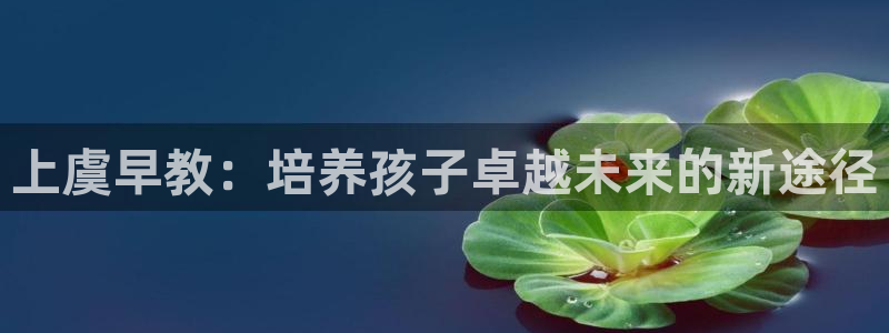 威九国际APP大全：上虞早教：培养孩子卓越未来的新途径