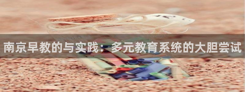 威九国际里的长头发帅哥名字：南京早教的与实践：多元教育系统的大胆尝试