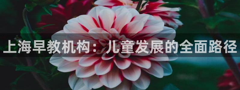 威九国际黄威尼斯：上海早教机构：儿童发展的全面路径