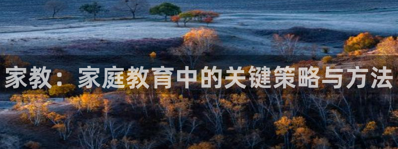 威九国际安全吗的认证团队：家教：家庭教育中的关键策略与方法