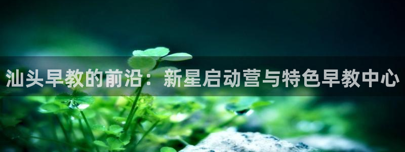 威九国际如何下载：汕头早教的前沿：新星启动营与特色早教中心