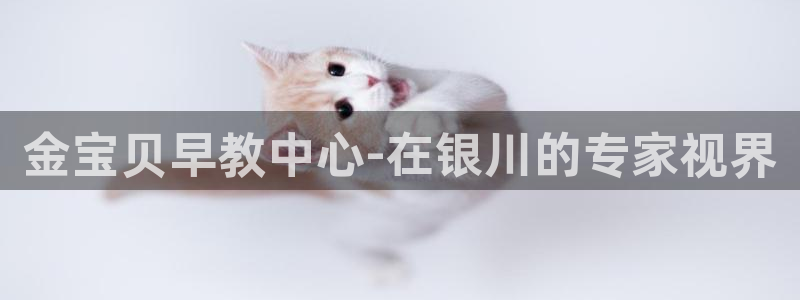 威九国际最近的视频：金宝贝早教中心-在银川的专家视界