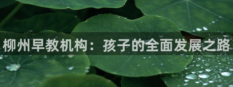 威九国际78m78免费：柳州早教机构：孩子的全面发展之路