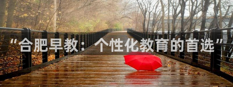 威九国际78m：“合肥早教：个性化教育的首选”