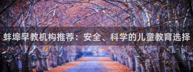 威九国际留学：蚌埠早教机构推荐：安全、科学的儿童教育选择