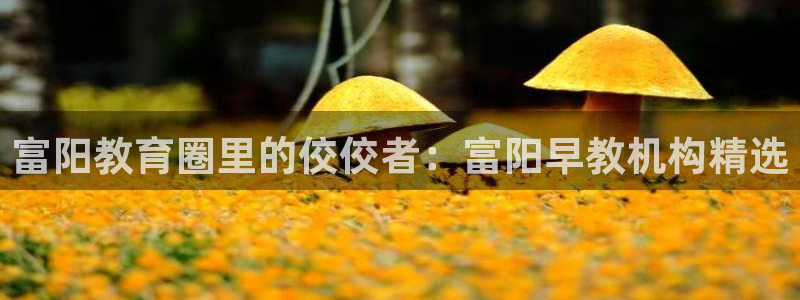 威九国际图片：富阳教育圈里的佼佼者：富阳早教机构精选