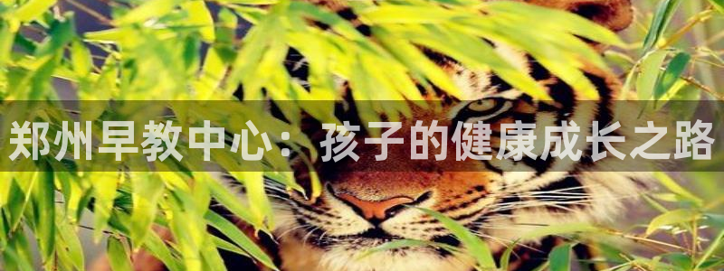 威九国际APP客服：郑州早教中心：孩子的健康成长之路