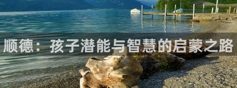 威九国际空降服务女演员叫什么名字：顺德：孩子潜能与智慧的启蒙之路