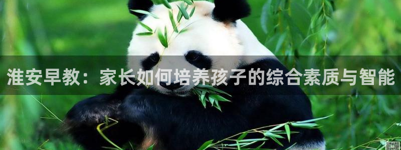 威九国际ppt免费下载网址：淮安早教：家长如何培养孩子的综合素质与智能