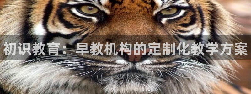 威九国际78mann：初识教育：早教机构的定制化教学方案