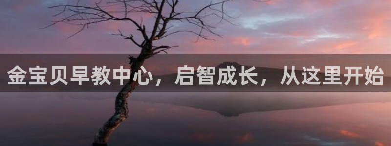 威九国际v9：金宝贝早教中心，启智成长，从这里开始
