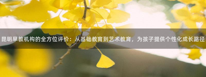 威九国际游戏网站：昆明早教机构的全方位评价：从基础教育到艺术教育，为孩子提供个性