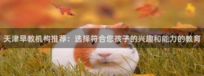 威九国际娜娜：天津早教机构推荐：选择符合您孩子的兴趣和能力的教育