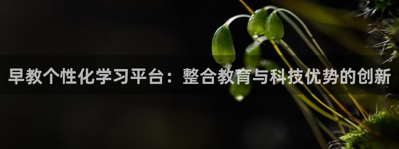 威九国际66m免费版：早教个性化学习平台：整合教育与科技优势的创新