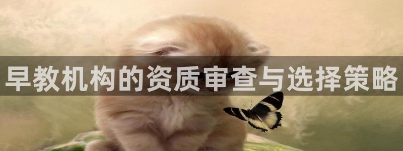 威九国际网站登录：早教机构的资质审查与选择策略