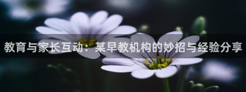 威九国际66m-66：教育与家长互动：某早教机构的妙招与经验分享