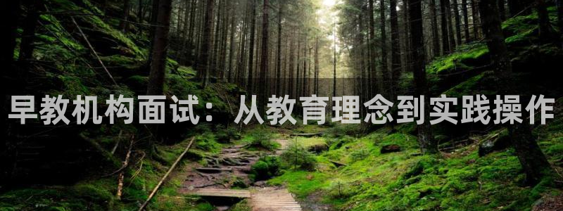 威九国际电视怎么样：早教机构面试：从教育理念到实践操作