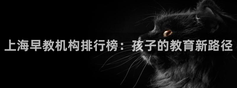 威九国际78m九妹：上海早教机构排行榜：孩子的教育新路径