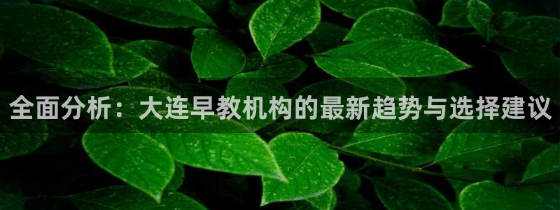 威九国际网站进入产品中心怎么进：全面分析：大连早教机构的最新趋势与选择建议