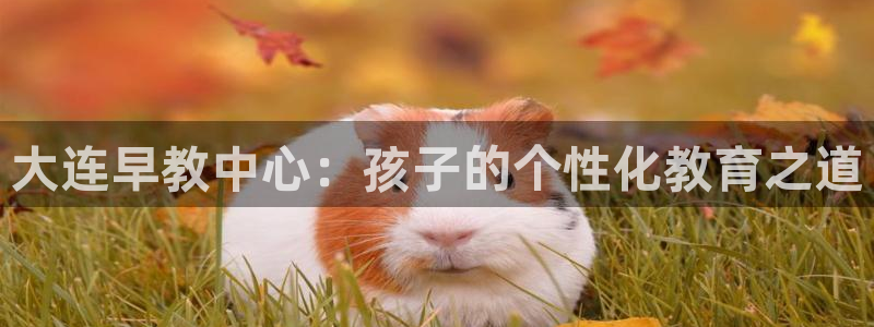 威九国际78mob官网版：大连早教中心：孩子的个性化教育之道